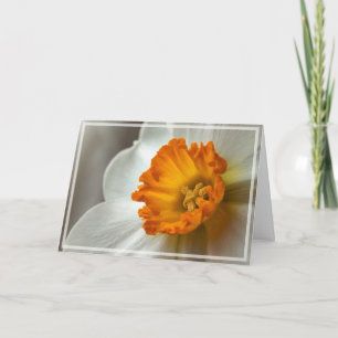 Carte Beau Narcisse Fleur Macro