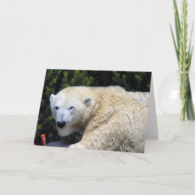 Carte Beau Ours Polaire Unique Personnalisé (Devant)