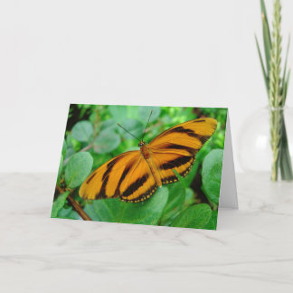 Carte Beau papillon