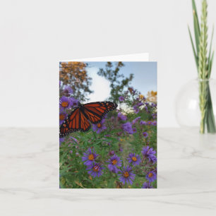 Carte Beau papillon sur des bleuets 