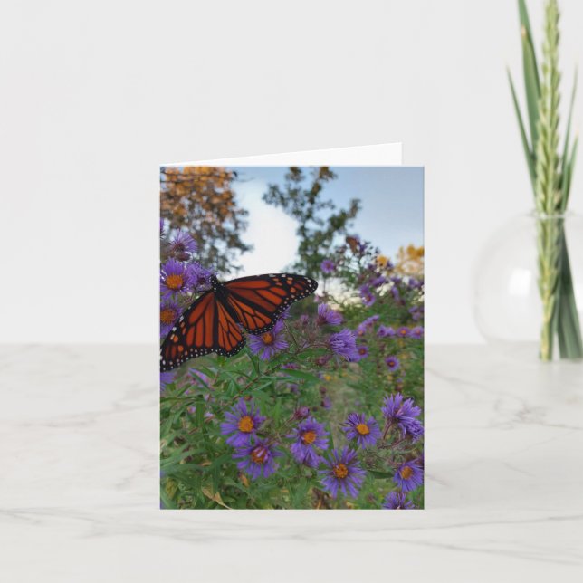 Carte Beau papillon sur des fleurs de maïs (Devant)