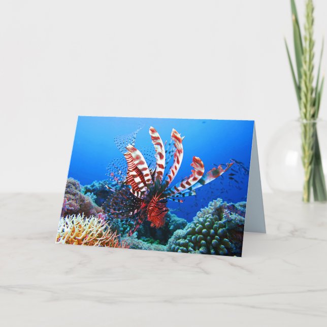 Carte Beau poisson-Lion Tropical (Devant)