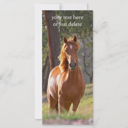 Carte Beau Signet De Photo De Cheval De Chataigne Zazzle Ca