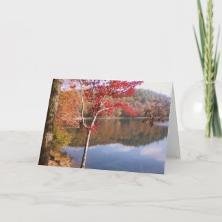 Carte Beauté d'automne