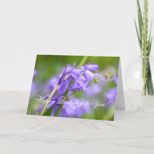 Carte Beauté de Bluebells