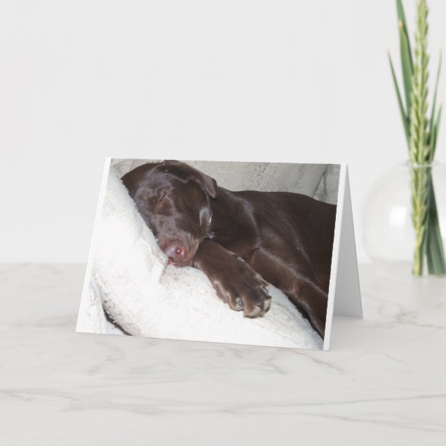 Carte Beauté de sommeil (Devant)