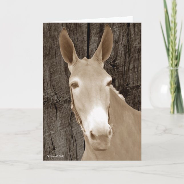 Carte Beauté d'or (Devant)