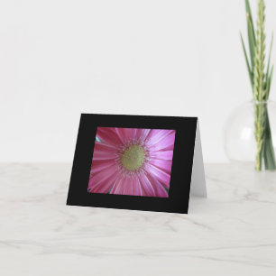 Carte Beauté Marguerite Rose