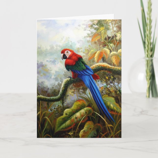 Carte beautiful birds greeting cards 06 (Devant)