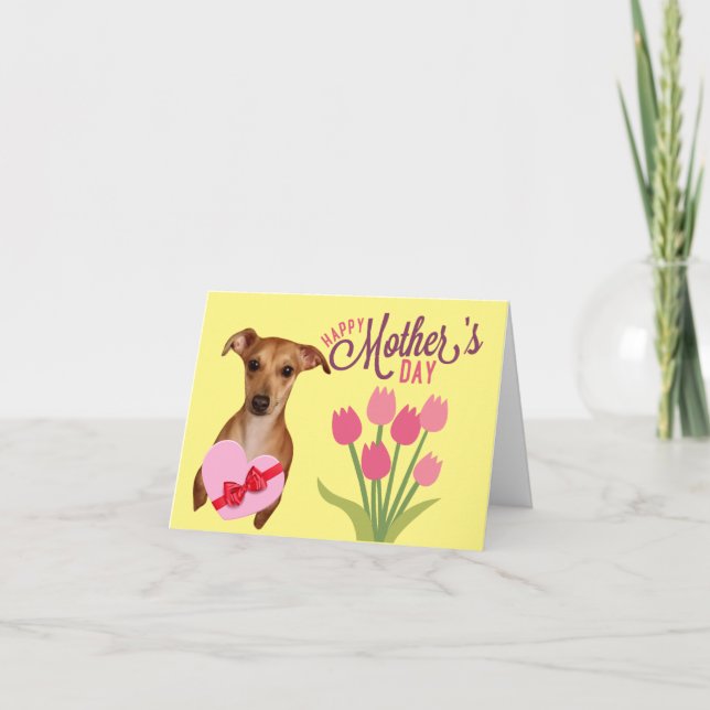 Carte Beautiful Chiweenie Floral Mothers Day Card (Devant)