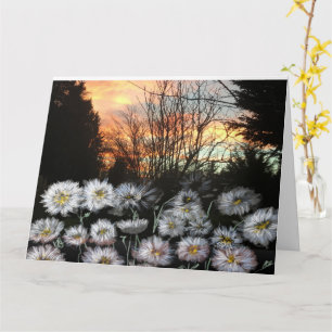 Carte Beautiful, Fresh Daisies Against A Winter