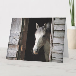 Carte Beautiful Gray Mare Horse Rustic Ranch