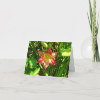 Carte Beautiful Lily