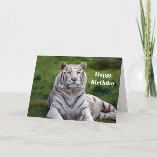 Carte Beautiful White Tiger Photo Birthday