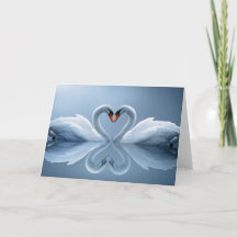 Beaux cadeaux affectueux de cygnes
