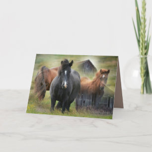 Carte Beaux chevaux et grange rustique
