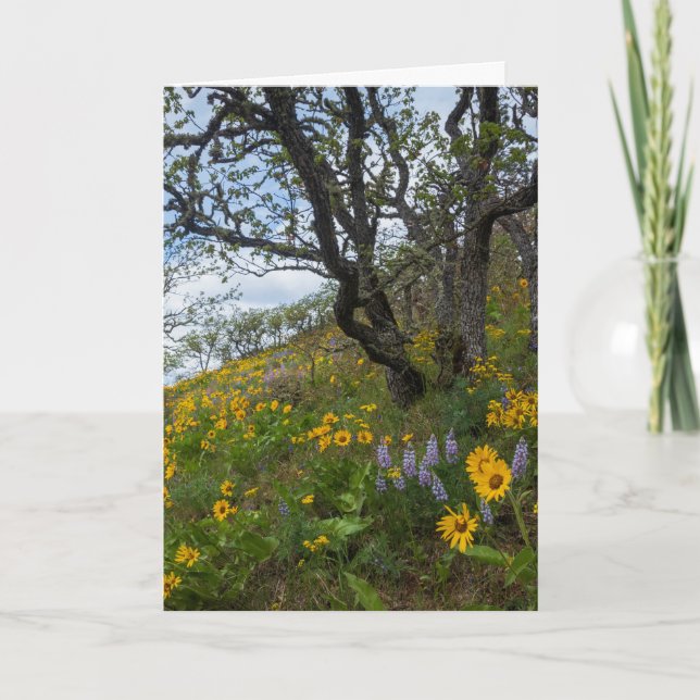 Carte Beaux Fleurs sauvages sur une colline Photo (Devant)