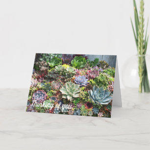 Carte Beaux succulents
