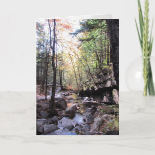 Carte Beaux voeux d'anniversaire