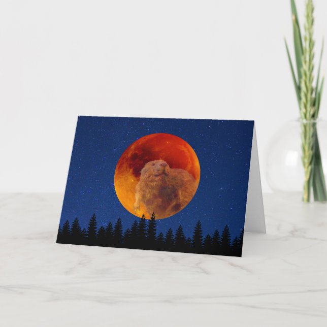 Carte Beaver Moon en novembre (Devant)