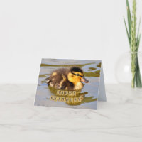 Bébé adorable canard dans l'étang Joyeux anniversa
