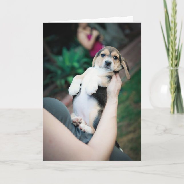 Carte Bébé Beagle Belly (Devant)