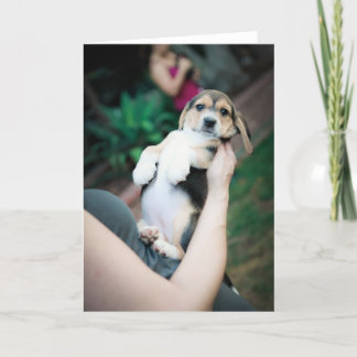 Carte Bébé Beagle Belly