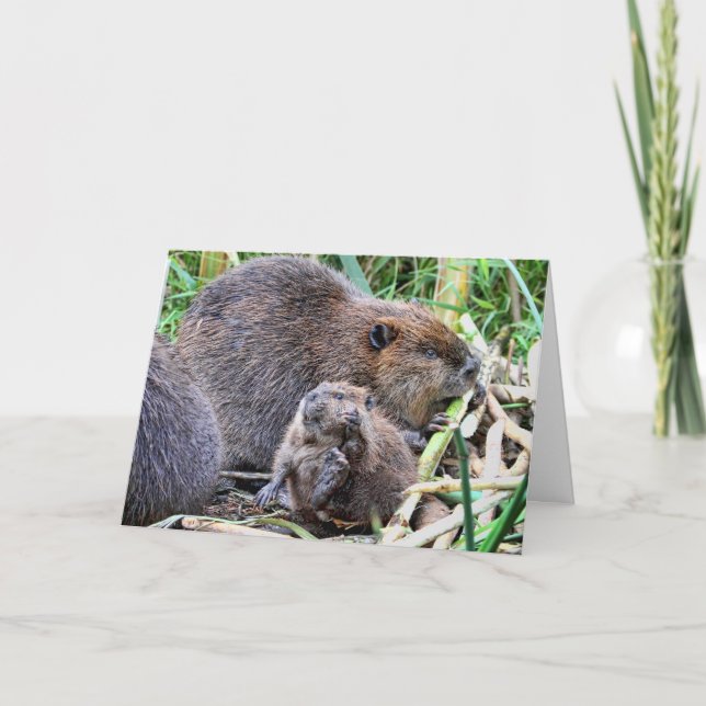 Carte Bébé castor et photo de famille (Devant)