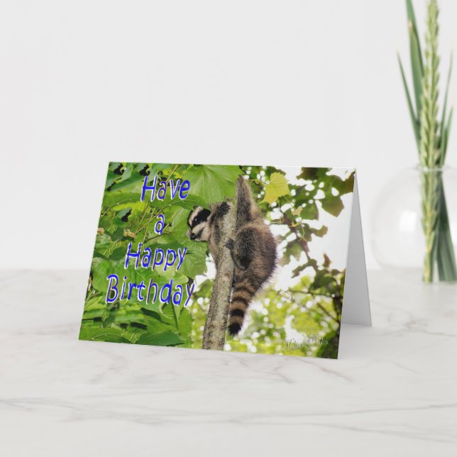 Carte Bébé Coon Anniversaires souhaits (Devant)