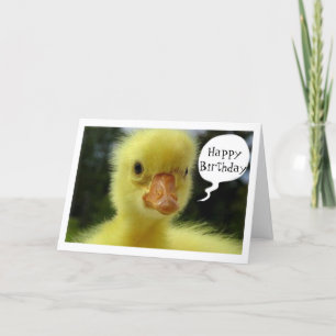 CARTE BÉBÉ DUCK ESPÈRE QUE VOTRE ANNIVERSAIRE N'EST QUE 