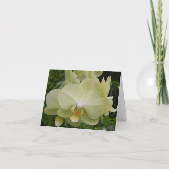 Carte Bébé Jaune orchidée Note (Devant)