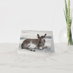 Carte Bébé mignon âne à Noël de neige