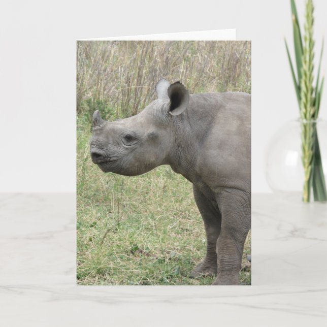 Carte Bébé noir de rhinocéros (Devant)