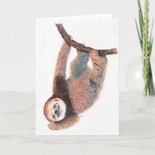 Carte Bébé paresseux se toilettant