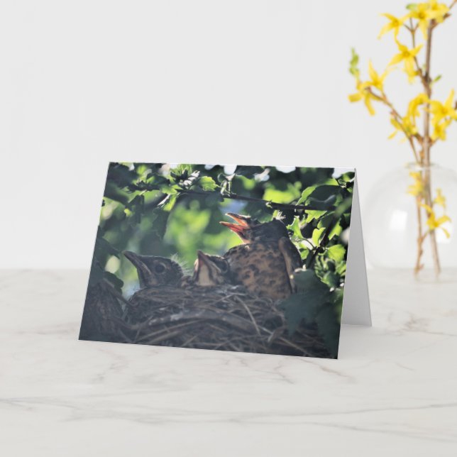 Carte Bébé Robins Oiseaux dans le nid Animaux sauvages n (Fleur jaune)