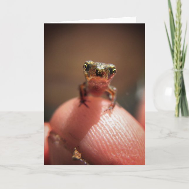 Carte Bébé Toad / Tadpole (Devant)