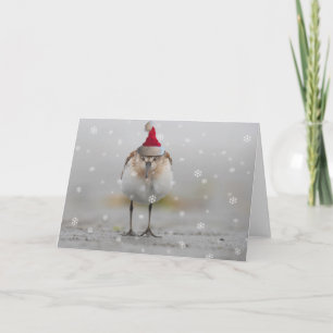 Carte Bécasseaux Endormis Noël