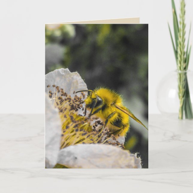 Carte Bee in White Flower Greeting Card (Devant)