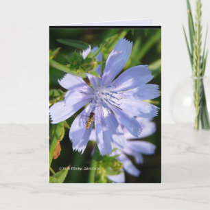 Carte Bee on the Wild Blu