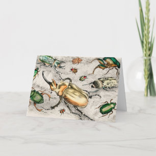 Carte Béetles Insectes Bugs