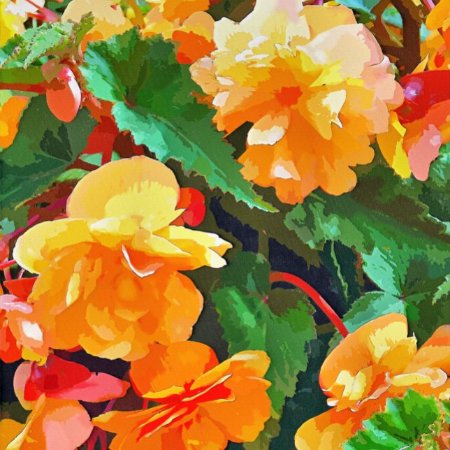 CARTE BEGONIAS (Créateur téléchargé)