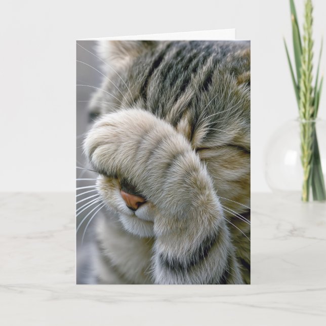 Carte Belated Birthday Gray Tabby Cat (Devant)