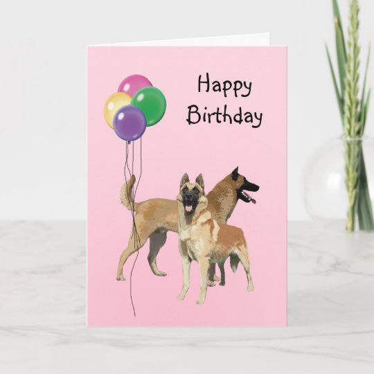 Carte Belge Malinois Ballons D Anniversaire Zazzle Ca