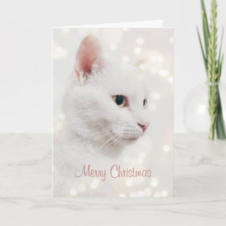 Carte Belle Chat Blanc avec lumières de Noël