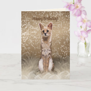 Carte Belle Chat Serval Africain Sauvage