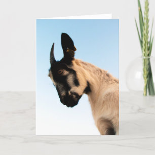 Carte Belle chèvre en toutes occasions