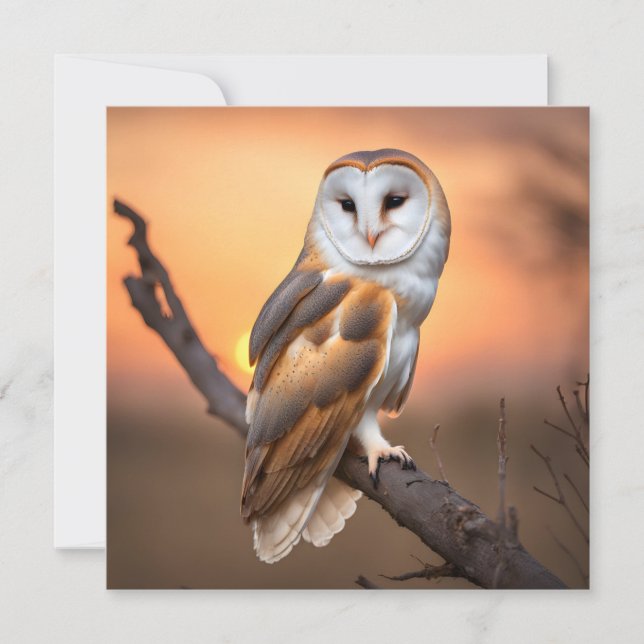 Carte Belle Chouette à la grange (Devant)