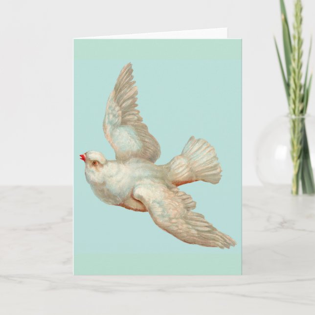 Carte belle colombe blanche (Devant)