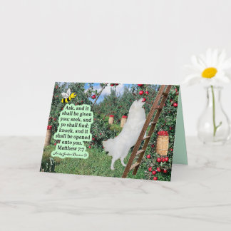 Carte Belle Eskie et Orchard Écriture Matthieu 7:7