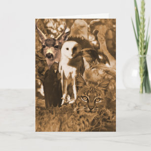 Carte Belle faune Animaux vierges